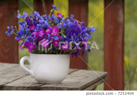 wild flowers, carnation and cornflower wild flowers, carnation and cornflower 7252404