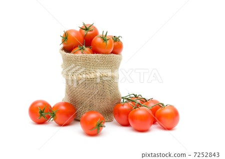 ripe tomatoes isolated on white background ripe tomatoes isolated on white background 7252843