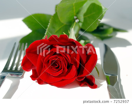 Red rose on the table Red rose on the table 7252937