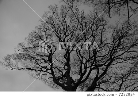 Branch 003 Branch 003 7252984