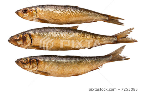 brown smoked trunk fish on white background brown smoked trunk fish on white background 7253085