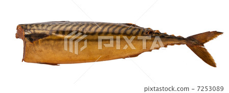brown smoked trunk fish on white background 7253089