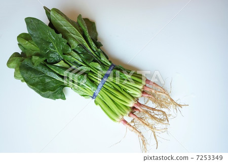 Kyo Spinach Kyo Spinach 7253349