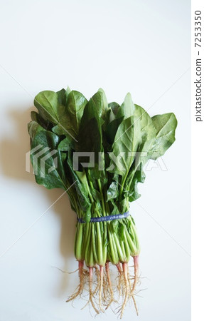 Kyo Spinach Kyo Spinach 7253350