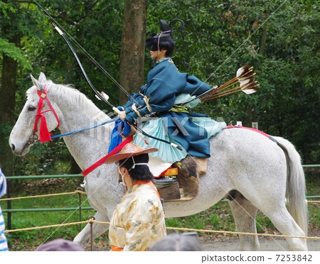 Armor of Flower horse 7253842