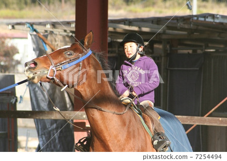 Children's riding lesson 7254494