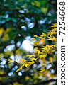 Autumn leaves 7254668