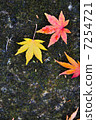 Autumn leaves 7254721