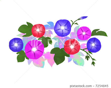 Morning glory in watercolor style Morning glory in watercolor style 7254845