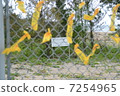 The ribbon of "NO BASE" tied to the US military base fence of Henoko, Okinawa Prefecture 7254965