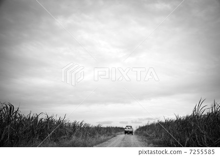 農場路 農場路 7255585