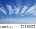 雲 7256355
