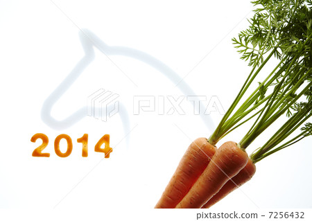 2014年元旦 2014年元旦 7256432