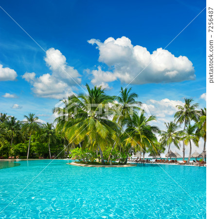 swimming pool with palm trees and blue sky 7256487