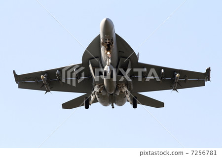 Fighter 7256781