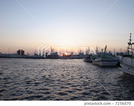 Fishing port at dusk 7256870