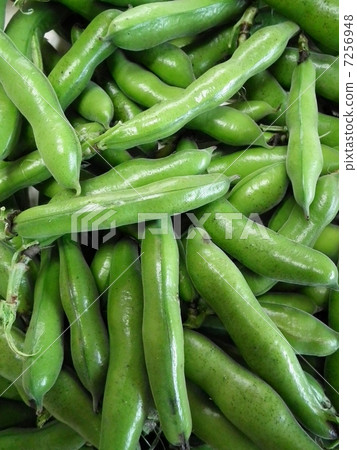Broad beans Broad beans 7256948