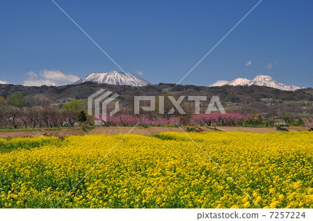 春天風景 春天風景 7257224