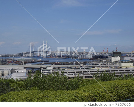 從山上公園，您可以看到海港 7257665
