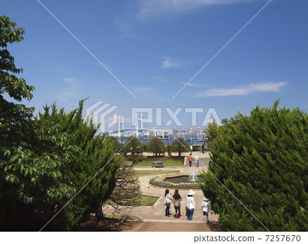 享有海港景色的山地公園 7257670