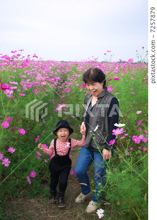 在宇宙領域 7257879