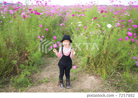 在宇宙領域 7257882