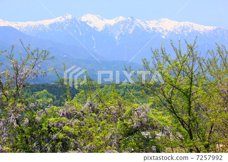 Yama and Snowyama Nakagawa Village 7257992