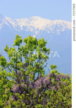 Yama和Snowyama Nakagawa Village Yama和Snowyama Nakagawa Village 7257995