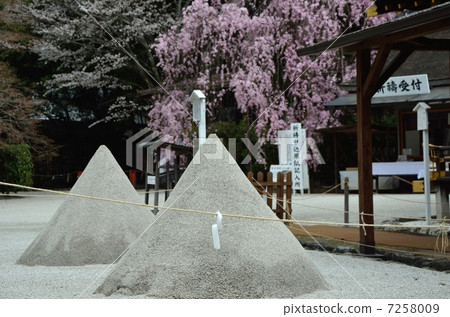 Tanzan of Kamigamo Shrine 7258009