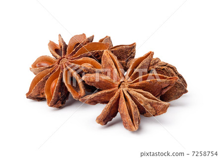 Anisetree stars 7258754