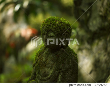 蓮花寺 7259286