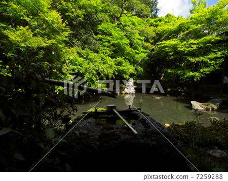 Lotus Temple Garden 7259288