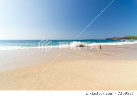 夏威夷莫洛凱島Papohaku海灘男孩看海 夏威夷莫洛凱島Papohaku海灘男孩看海 7259585