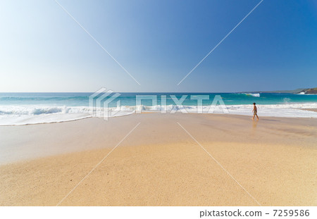 夏威夷莫洛凱島Papohaku海灘男孩看海 7259586