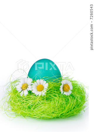 easter egg in nest 7260543