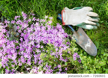 garden tools 7260601