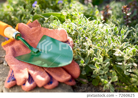 garden tools 7260625