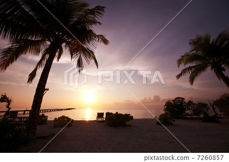 Tropical beach Tropical beach 7260857