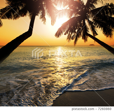 Tropical beach 7260860