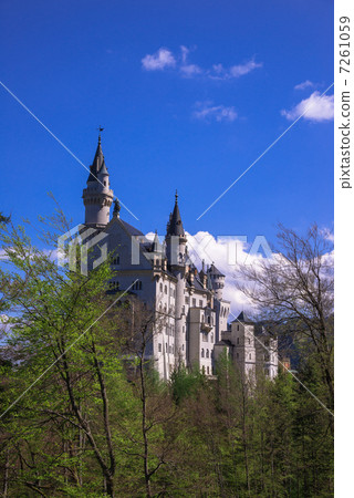 Romantic Road Neuschwanstein Castle Romantic Road Neuschwanstein Castle 7261059