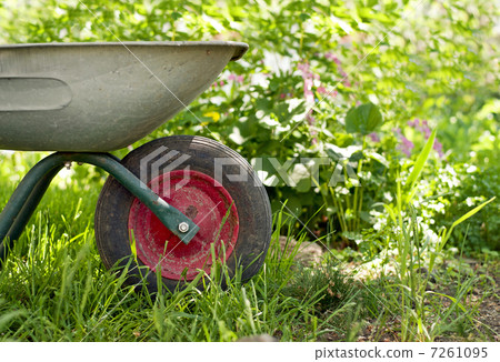 wheelbarrow in the garden wheelbarrow in the garden 7261095