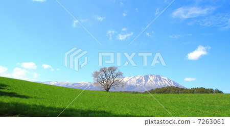 Spring of Koiwai Farm 7263061