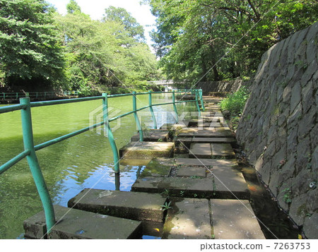 Musashi Kinen Park Fujimi Pond and the promenade 7263753