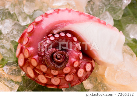 章魚 章魚 7265152