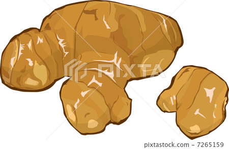 ginger ginger 7265159