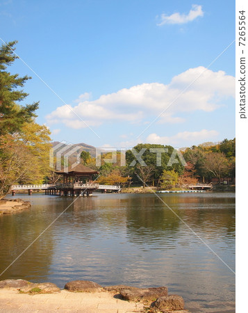 Nara Ukimido and Ikeike 7265564