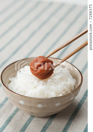 Umeboshi on rice 7266375