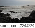 Japan Sea 7268229