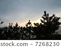 Setting sun 7268230