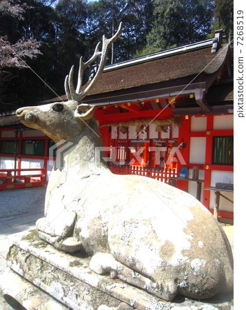 Ohgano Shrine 7268519